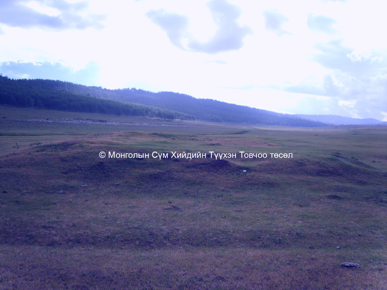 Зүүн талаас авсан